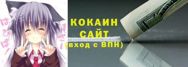 сатива Нягань
