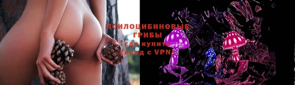 сатива Нягань