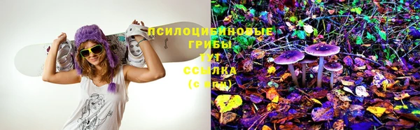сатива Нягань