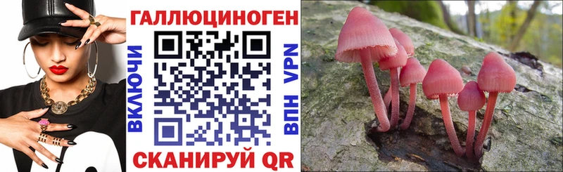 это телеграм  Кстово  Галлюциногенные грибы Psilocybine cubensis 