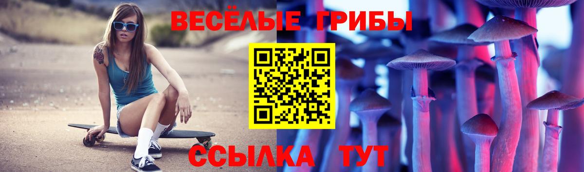 Кстово  Псилоцибиновые грибы мухоморы  Вход с VPN 